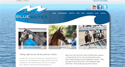 Desktop Screenshot of bluewatersales.com